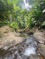 El Colibri Rojo Hotel Cabinas