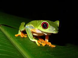 El Colibri Rojo Hotel Cabinas