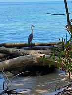 El Colibri Rojo Hotel Cabinas