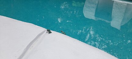 El Colibri Rojo Hotel Cabinas