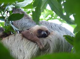 El Colibri Rojo Hotel Cabinas