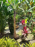 El Colibri Rojo Hotel Cabinas