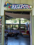 El Colibri Rojo Hotel Cabinas