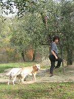 Agriturismo La Torretta