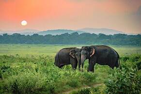 Elephant Rest Udawalawa