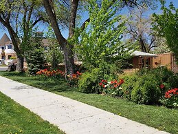 Stone Lizard Lodging