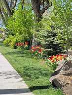 Stone Lizard Lodging