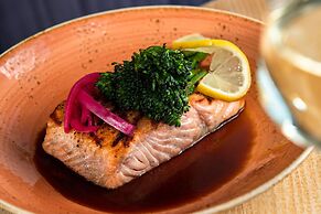 The Hi-Lo, Autograph Collection