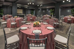 The Hi-Lo, Autograph Collection