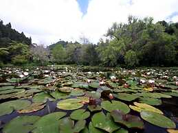 Rapaura Watergardens