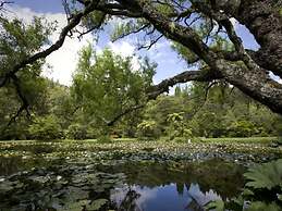 Rapaura Watergardens