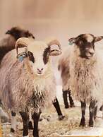 Yggdrasil Farmhotel Retreat, Spa & Yoga