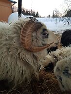 Yggdrasil Farmhotel Retreat, Spa & Yoga