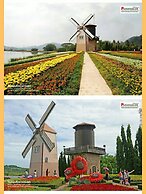 Sea Hill Boutique Residence