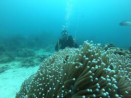 Calypso Beach & Dive Resort