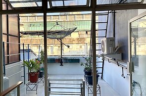 The Packer Lodge - Hostel