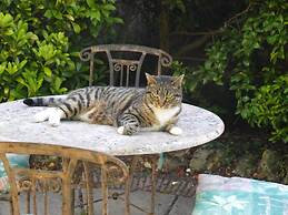 Ammonite Lodge Guest House