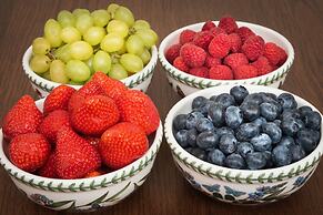 Ammonite Lodge Guest House