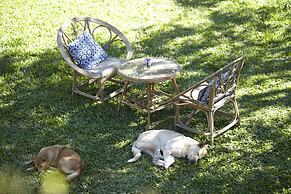 House of Love at Pai