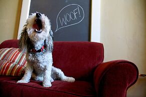 McMenamins Kennedy School