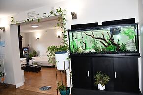 Super 8 Fort McMurray