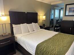 Hi View Inn & Suites