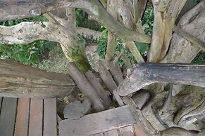 Pai Treehouse Resort