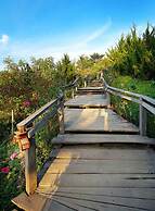 Pai Treehouse Resort