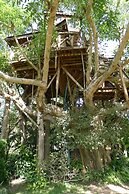 Pai Treehouse Resort