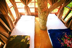 Pai Treehouse Resort