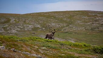 Fell Centre Kiilopää, Hotel Niilanpää
