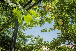 Agriturismo Salinola