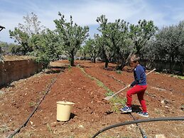 Agriturismo Salinola