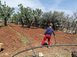 Agriturismo Salinola