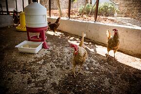 Agriturismo Salinola