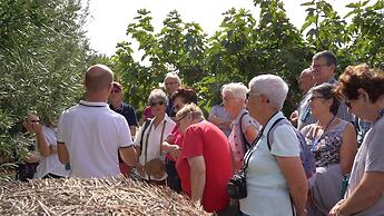 Agriturismo Salinola