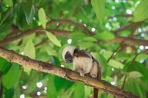 Posadas Ecoturisticas Seineken