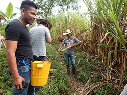 Finca Hotel La Rivera