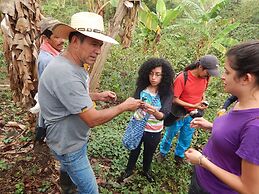 Finca Hotel La Rivera