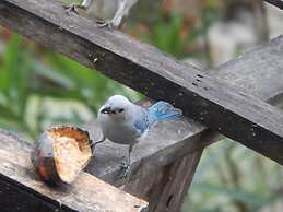 Finca Hotel La Rivera