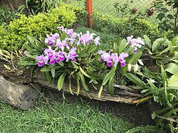 Finca Hotel La Rivera