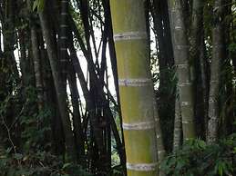 Finca Hotel La Rivera