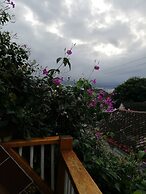 Hotel Casa Ebano 967