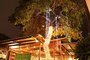 The Purple Tree Bed & Breakfast