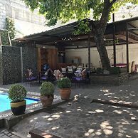 The Purple Tree Bed & Breakfast