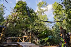 Huilo Huilo Montaña Magica