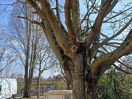 ibis Budget Antony Massy (renovated 2024)