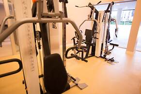 Hplus Vision Executive