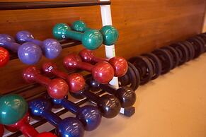 Hplus Vision Executive