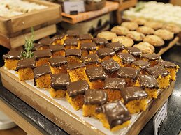 Hplus Vision Executive